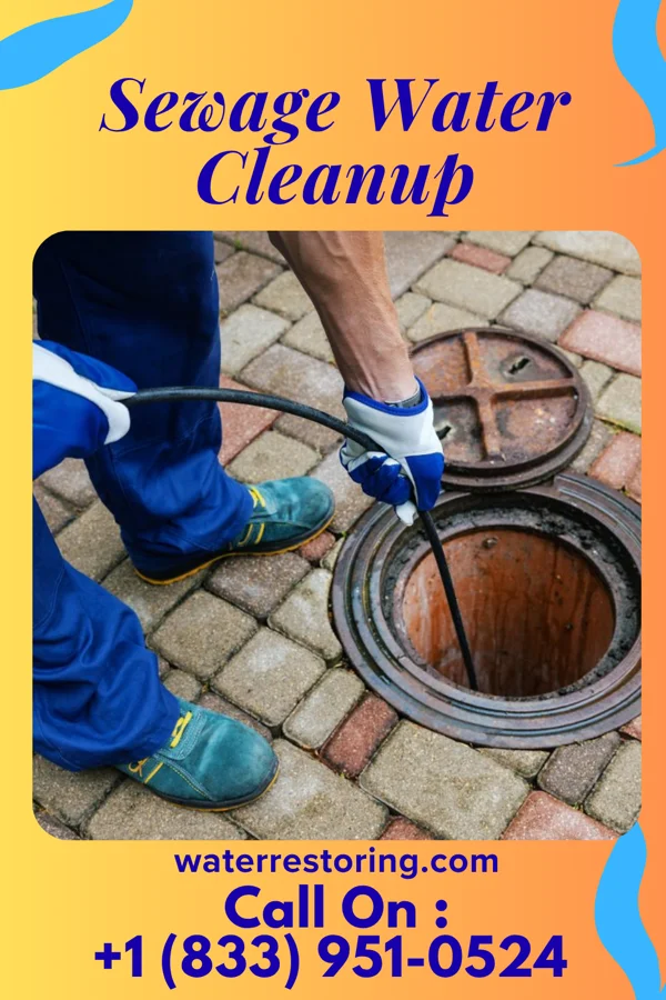 Sewage Water Cleanup in Oak Island, TX
